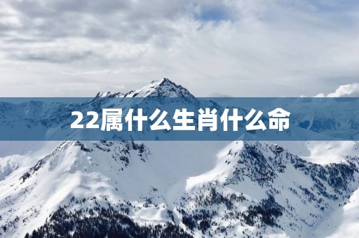 22属什么生肖什么命
