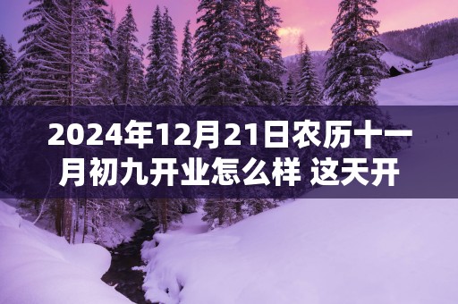 2025年12月21日农历十一月初九开业怎么样 这天开业吉利吗