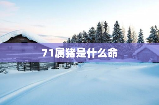 71属猪是什么命