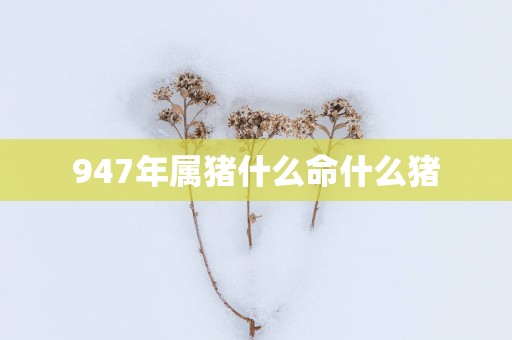 947年属猪什么命什么猪