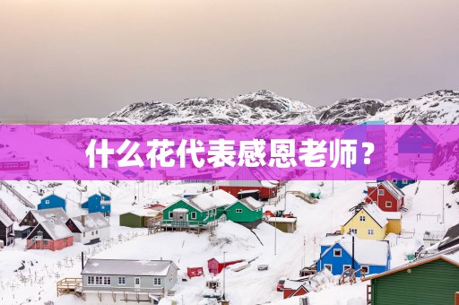 什么花代表感恩老师？