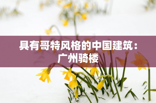 具有哥特风格的中国建筑：广州骑楼