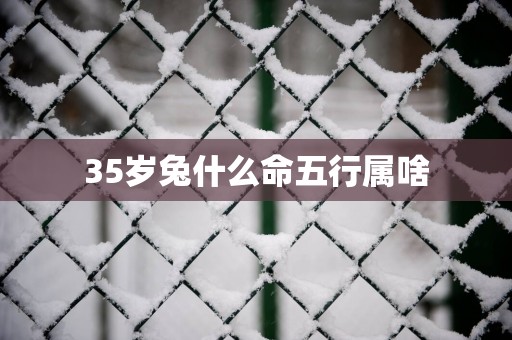35岁兔什么命五行属啥