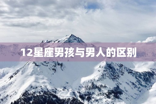 12星座男孩与男人的区别