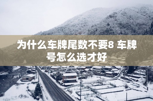 为什么车牌尾数不要8 车牌号怎么选才好