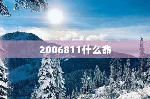 2006811什么命