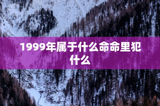 1999年属于什么命命里犯什么