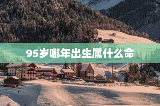 95岁哪年出生属什么命