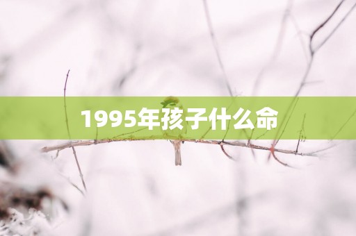 1995年孩子什么命
