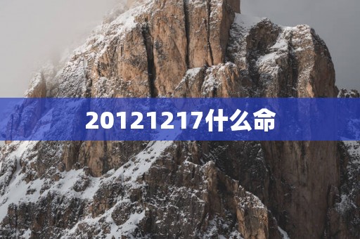 20121217什么命
