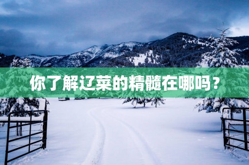 你了解辽菜的精髓在哪吗？