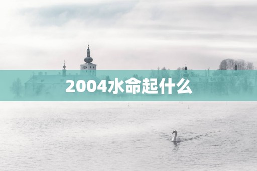 2004水命起什么