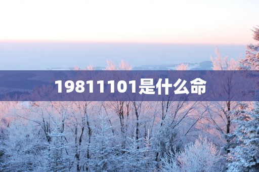 19811101是什么命
