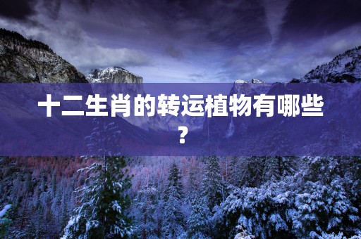 十二生肖的转运植物有哪些？
