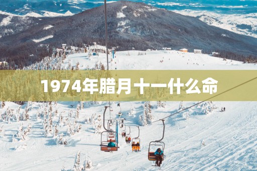 1974年腊月十一什么命