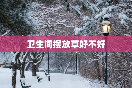卫生间摆放草好不好