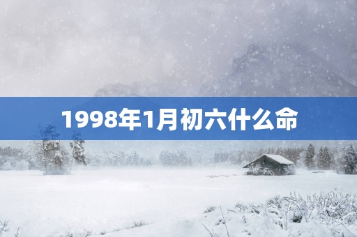 1998年1月初六什么命