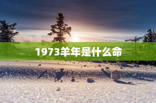 1973羊年是什么命