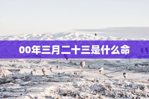 00年三月二十三是什么命