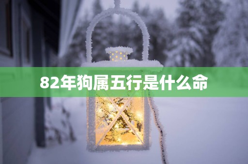 82年狗属五行是什么命