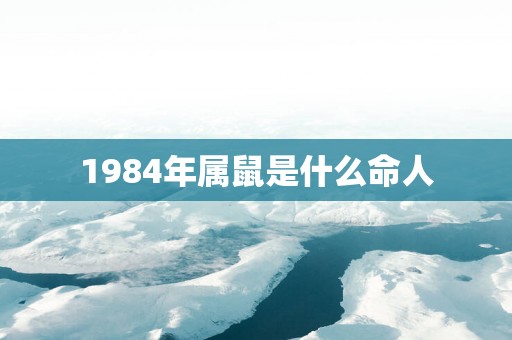 1984年属鼠是什么命人