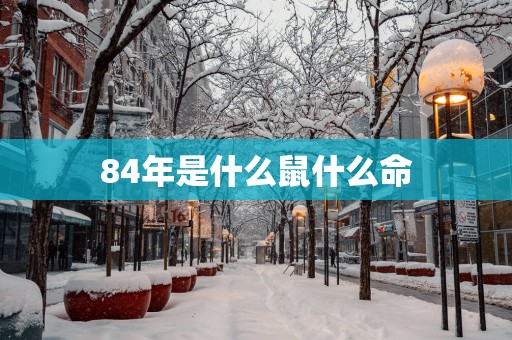 84年是什么鼠什么命