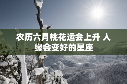 农历六月桃花运会上升 人缘会变好的星座