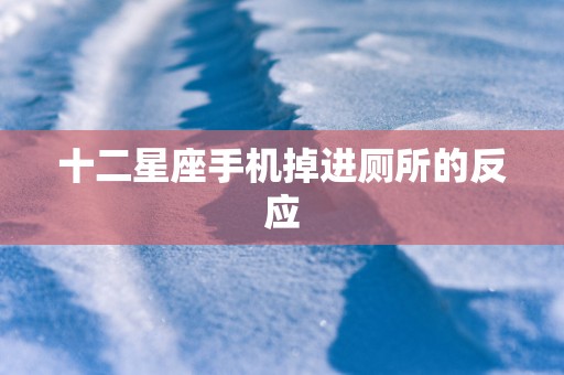 十二星座手机掉进厕所的反应