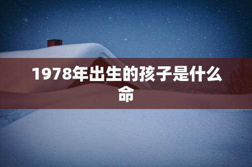 1978年出生的孩子是什么命