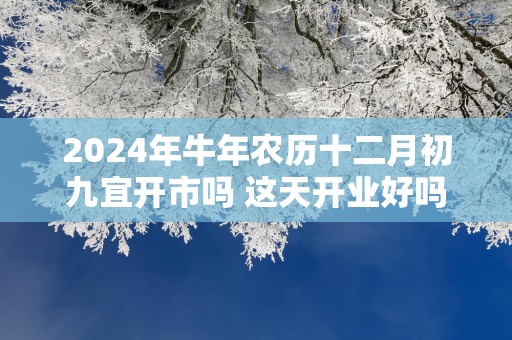 2025年蛇年农历十二月初九宜开市吗 这天开业好吗