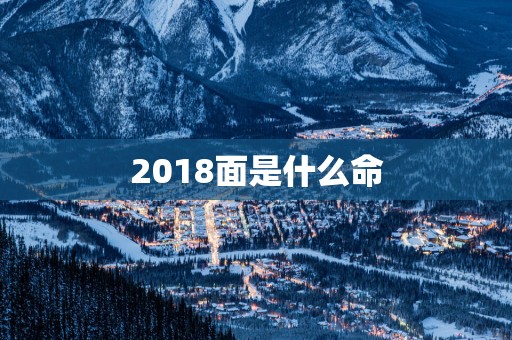 2018面是什么命