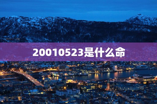 20010523是什么命