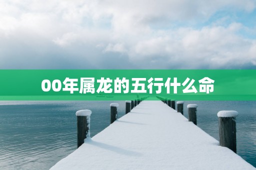 00年属龙的五行什么命