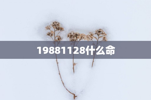 19881128什么命