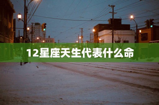 12星座天生代表什么命