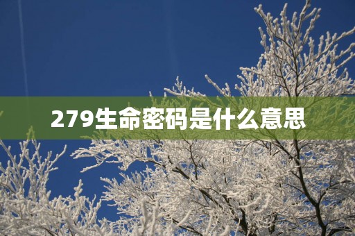 279生命密码是什么意思