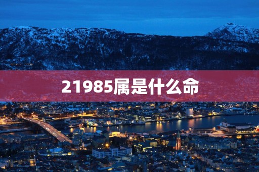 21985属是什么命