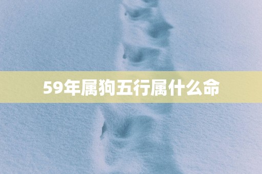 59年属狗五行属什么命