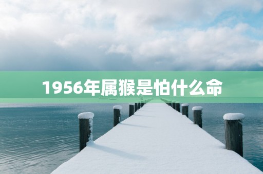 1956年属猴是怕什么命