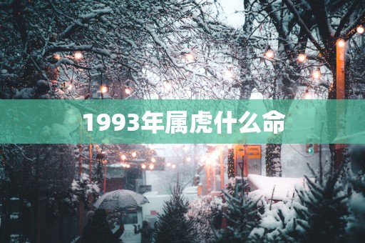 1993年属虎什么命