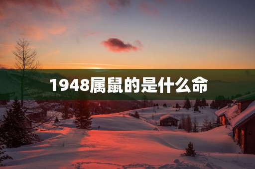 1948属鼠的是什么命
