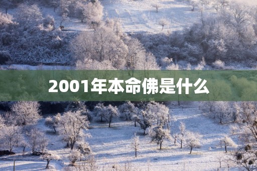 2001年本命佛是什么