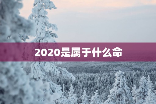 2025是属于什么命