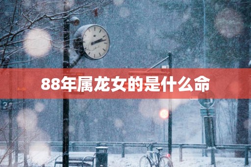 88年属龙女的是什么命