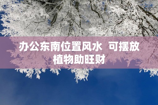 办公东南位置风水  可摆放植物助旺财
