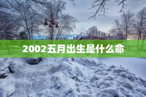 2002五月出生是什么命
