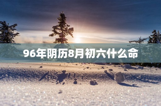 96年阴历8月初六什么命