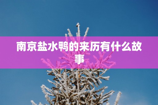 南京盐水鸭的来历有什么故事