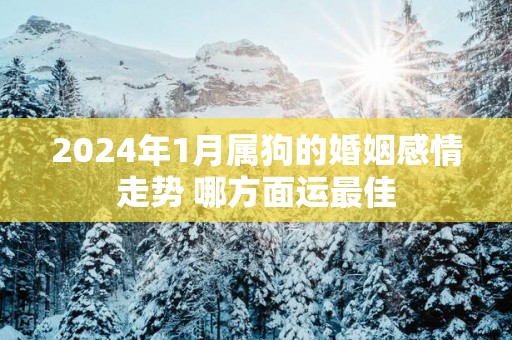 2025年1月属狗的婚姻感情走势 哪方面运最佳