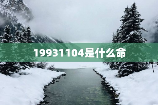 19931104是什么命